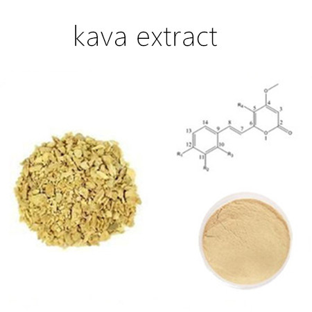 Kava Extract & Diagram