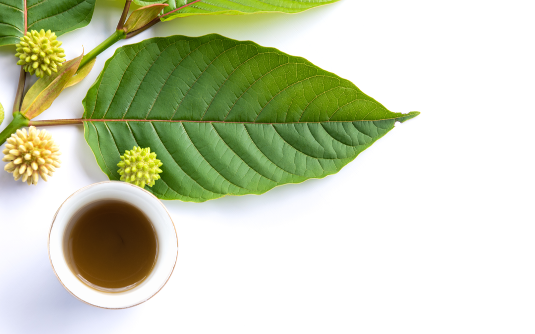 What is Kratom Useful For?